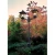Lampa stojąca ogrodowa zewnętrzna LONDON 484B - Norlys