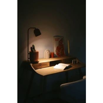 Lampa stołowa BOTANICA 41115115 - Kaspa