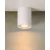 Lampa sufitowa Tube 22952/01/31 - Lucide