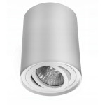 Tuba GU10 sufitowa okrągłą lampa biała bross regulowana 163 - Decorativi